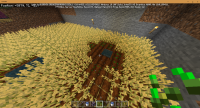 Minecraft 11_18_2020 3_24_47 PM.png