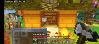 Screenshot_2020-11-21-10-53-24-321_com.mojang.minecraftpe.jpg