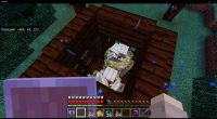 Minecraft 24.11.2020 17_15_56.png