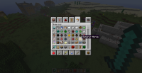 bug 2.png