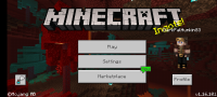 Screenshot_20201124-153404_Minecraft.jpg