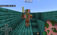 Screenshot_20201124-211223_Minecraft.jpg