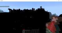 Bug Minecraft Windows 10.jpg