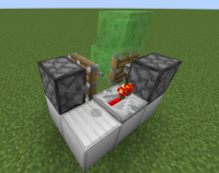 bug1.PNG