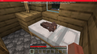 Minecraft 12.10.2020 15_51_17.png