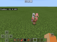 bug.jpeg