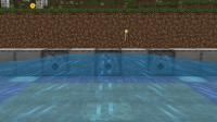 bug_watersource.png