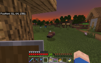 bug4.png