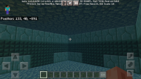 Screenshot_20201206-094126_Minecraft.jpg
