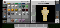 Screenshot_20201207-104252_Minecraft.jpg