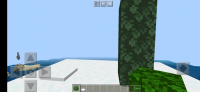 Screenshot_20201208-202211_Minecraft.jpg