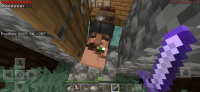 Screenshot_20201205-015911_Minecraft.jpg