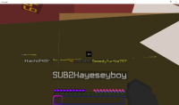 Minecraft 12_10_2020 1_48_49 PM.png