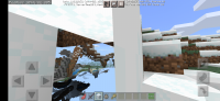 Screenshot_20201210-222149_Minecraft.jpg