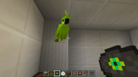 Minecraft Screenshot 2020.12.11 - 20.52.38.54.png
