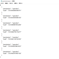 corresponding status of permissionsjson-2.PNG