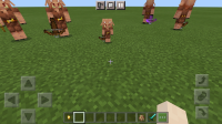 Screenshot_20201217-144538_Minecraft.jpg