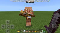 Screenshot_20201217-161630_Minecraft.jpg