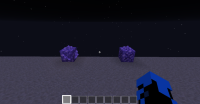 bug 1-6.png