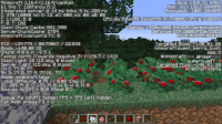 Minecraft Screenshot 2020.12.19 - 19.33.30.69.png