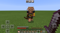 Screenshot_20201220-133913_Minecraft.jpg