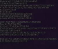 Minecraft debug screen 1.jpg