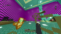 Minecraft Screenshot 2020.12.28 - 11.58.21.53.png
