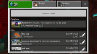 Screenshot_2021-01-04-15-33-00-201_com.mojang.minecraftpe.jpg