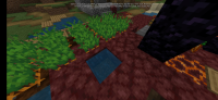 Screenshot_2021-01-15-11-57-27-489_com.mojang.minecraftpe.jpg