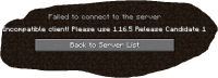 Minecraft 3.PNG