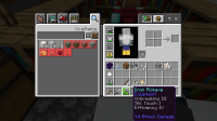 Minecraft 1_17_2021 12_08_07 PM.png