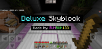 Screenshot_20210118-124752_Minecraft.jpg