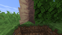2021-01-20_15.57.57.png