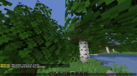 Minecraft_1.16.5_-_Einzelspieler_2021-01-21_13-23-05.png