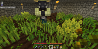 Screenshot 2021-01-21 191626.png