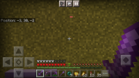 Screenshot_20210125-093046_Minecraft.jpg