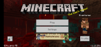 Screenshot_20210127-123641_Minecraft.jpg