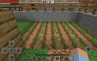 Screenshot_2021-01-31_214051.jpg