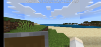 Screenshot_20210203_233750_com.mojang.minecraftpe.jpg