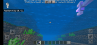 Screenshot_20210203_231826_com.mojang.minecraftpe.jpg