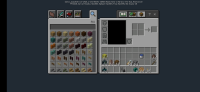 Screenshot_2021-02-04-07-49-16-200_com.mojang.minecraftpe.jpg