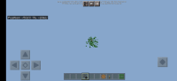 Screenshot_2021-02-04-07-48-41-843_com.mojang.minecraftpe.jpg