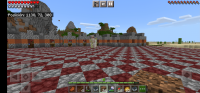 Screenshot_20210201_171030_com.mojang.minecraftpe.jpg