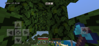 Screenshot_20210204-181024_Minecraft.jpg
