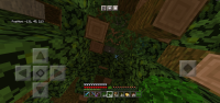 Screenshot_20210205-162516_Minecraft.jpg