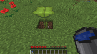 Bug.jpg
