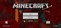 Screenshot_20210212-094612_Minecraft.jpg