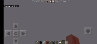 Screenshot_2021-02-12-19-28-36-140_com.mojang.minecraftpe.jpg