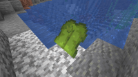 2021-02-13_18.31.45.png
