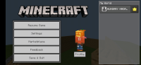 Screenshot_20210213-234412_Minecraft.jpg